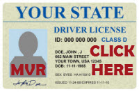 MVR Driving Records