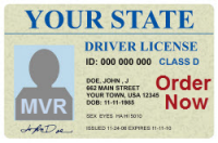 fl dmv license lookup